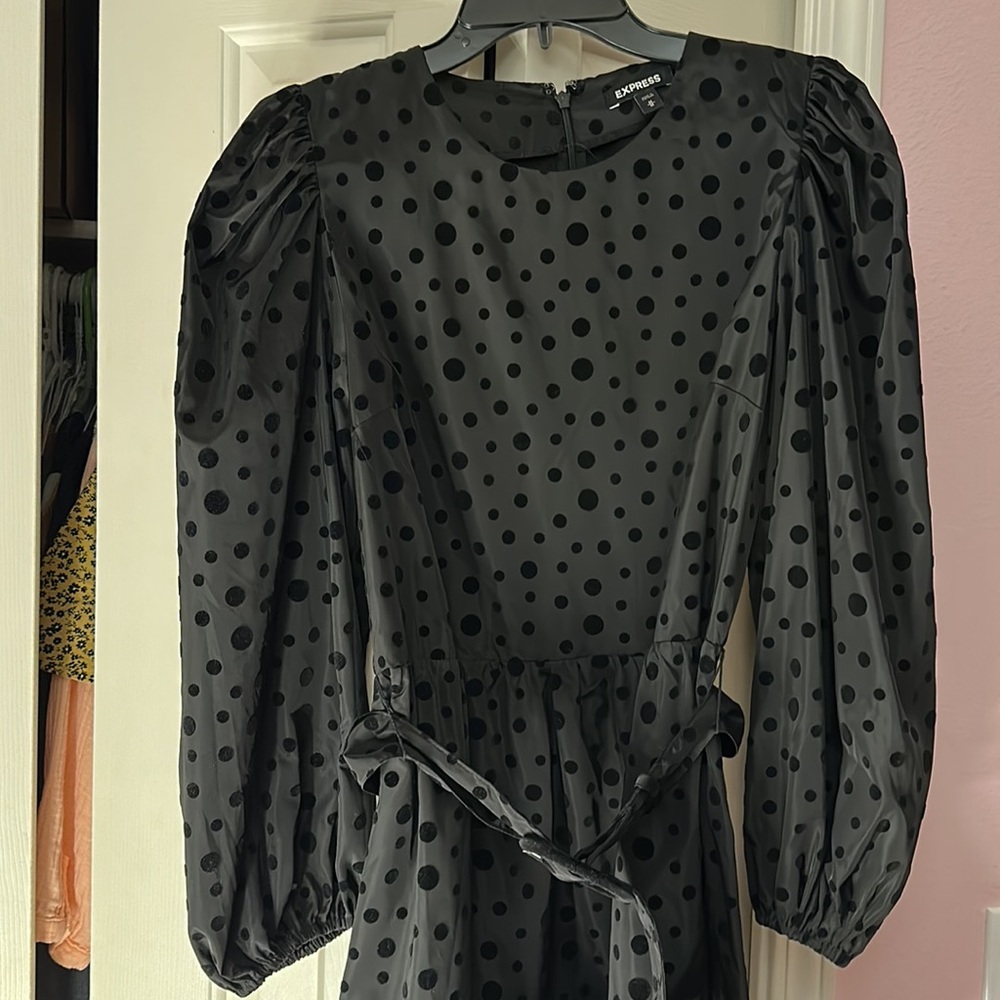 Express Velvet belted dress